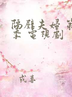 隔壁夫妇 第二季 电视剧