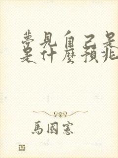 梦见自己是孕妇是什么预兆