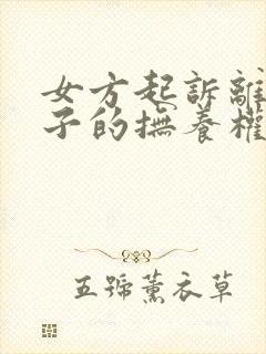 女方起诉离婚孩子的抚养权归谁