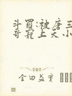 斗罗:被唐三哥哥宠上天小说全部章节