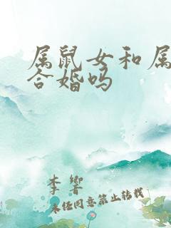 属鼠女和属羊男合婚吗