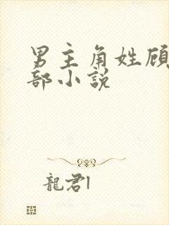 男主角姓顾的全部小说