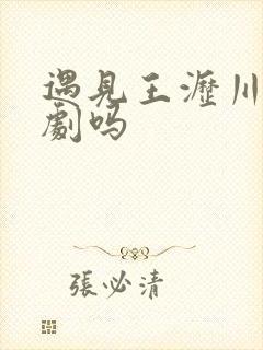 遇见王沥川是悲剧吗