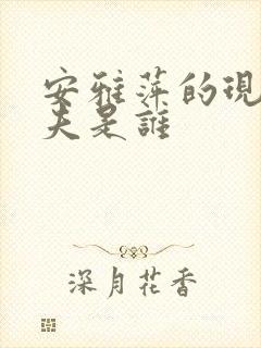 安雅萍的现任丈夫是谁