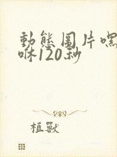 动态图片嘿咻嘿咻120秒