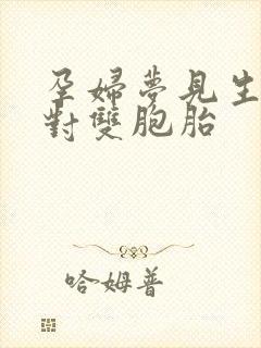 孕妇梦见生了一对双胞胎