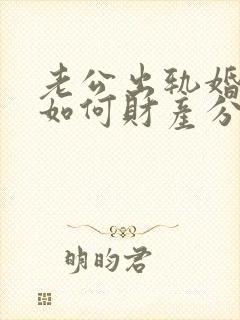 老公出轨婚姻法如何财产分割