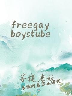 freegayboystube