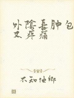 外阴长肿包又疼又疼痛