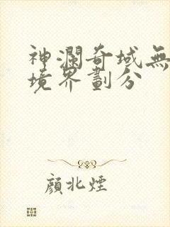 神澜奇域无双珠境界划分