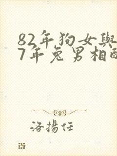 82年狗女与87年兔男相配吗