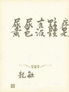 尿尿有点疼还流黄色液体是什