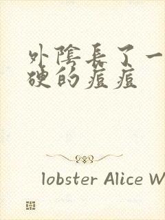 外阴长了一个硬硬的痘痘