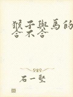 猴子与马的属相合不合