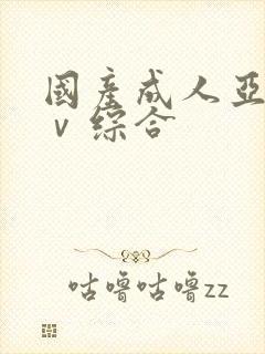 国产成人亚洲aⅴ综合