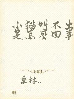 小猫叫不出声音是怎么回事