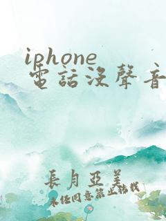 iphone 电话没声音
