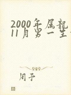 2000年属龙11月男一生命运