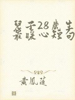 儿子28岁生日最暖心短句