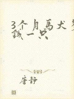 3个月马犬多少钱一只