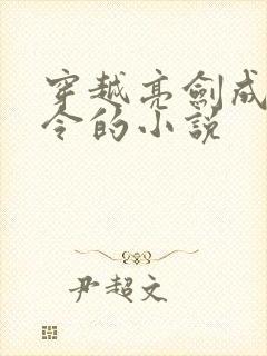 穿越亮剑成为司令的小说