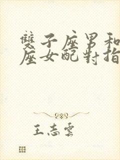 双子座男和射手座女配对指数