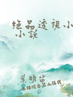 绝品透视小神医 小说