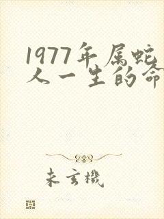 1977年属蛇人一生的命运如何