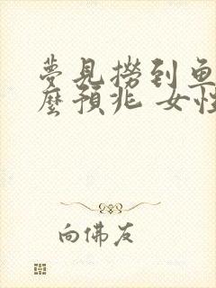 梦见捞到鱼是什么预兆 女性解梦