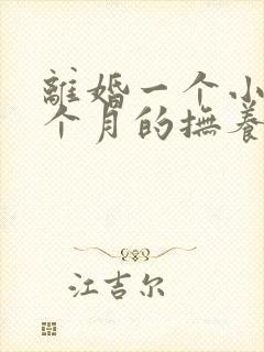 离婚一个小孩一个月的抚养费多少钱