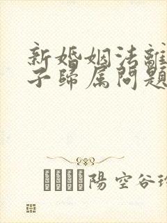 新婚姻法离婚房子归属问题