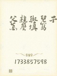 父亲与儿子关系怎么填写