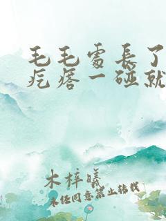 毛毛处长了个硬疙瘩一碰就疼怎么办