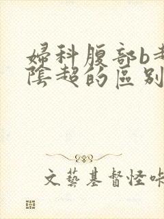 妇科腹部b超和阴超的区别