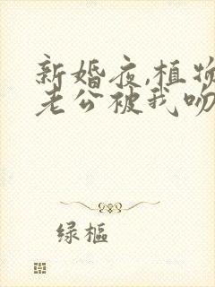 新婚夜,植物人老公被我吻醒了连载