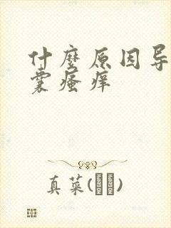 什么原因导致阴囊瘙痒