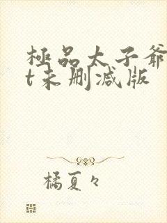 极品太子爷txt未删减版