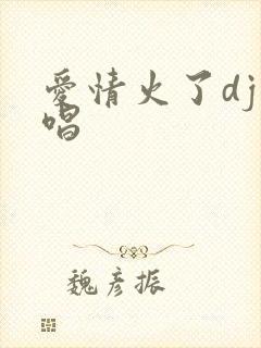 爱情火了dj原唱