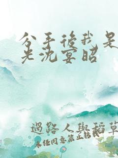 分手后我是白月光沈宴昭