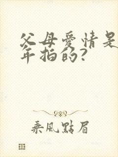 父母爱情是哪一年拍的?