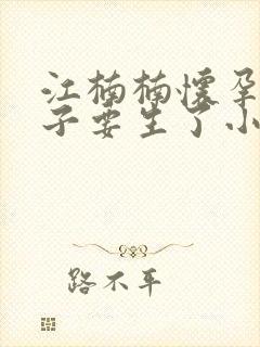 江楠楠怀孕大肚子要生了小说