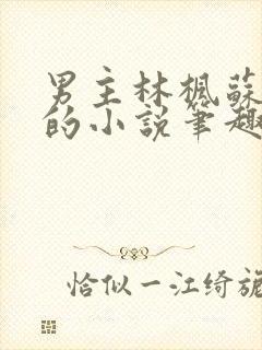 男主林枫苏慕白的小说笔趣阁全文