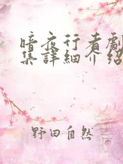 暗夜行者剧情分集详细介绍