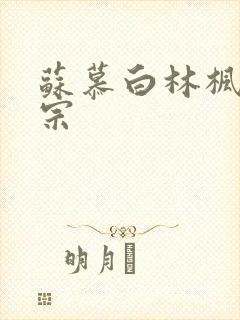 苏慕白林枫神霄宗