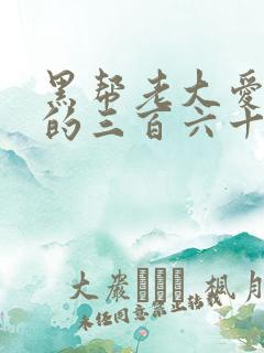 黑帮老大爱上我的三百六十五天