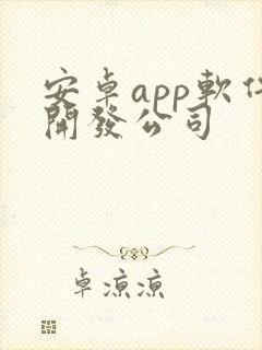 安卓app软件开发公司