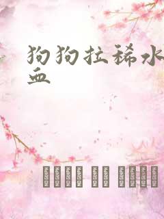 狗狗拉稀水状带血