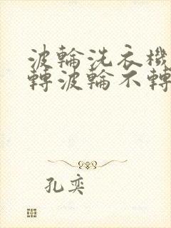 波轮洗衣机电机转波轮不转是什么原因