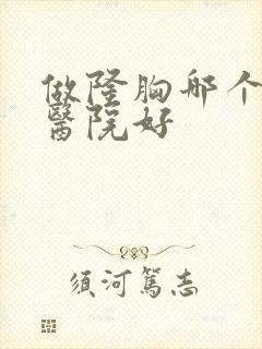 做隆胸哪个整形医院好