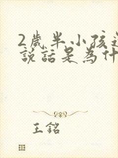 2岁半小孩还不说话是为什么